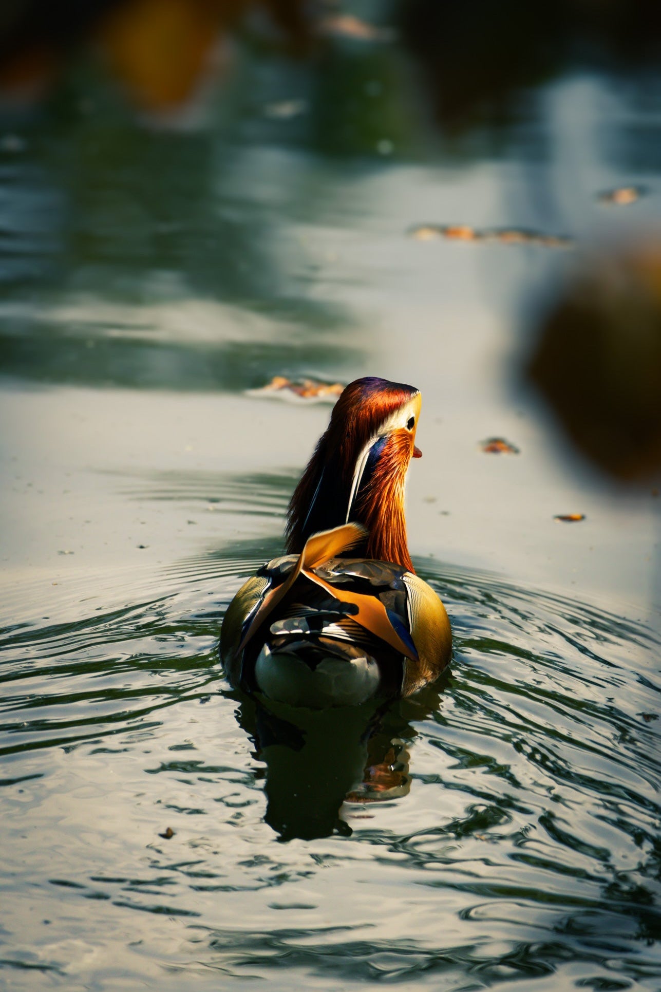 Natur