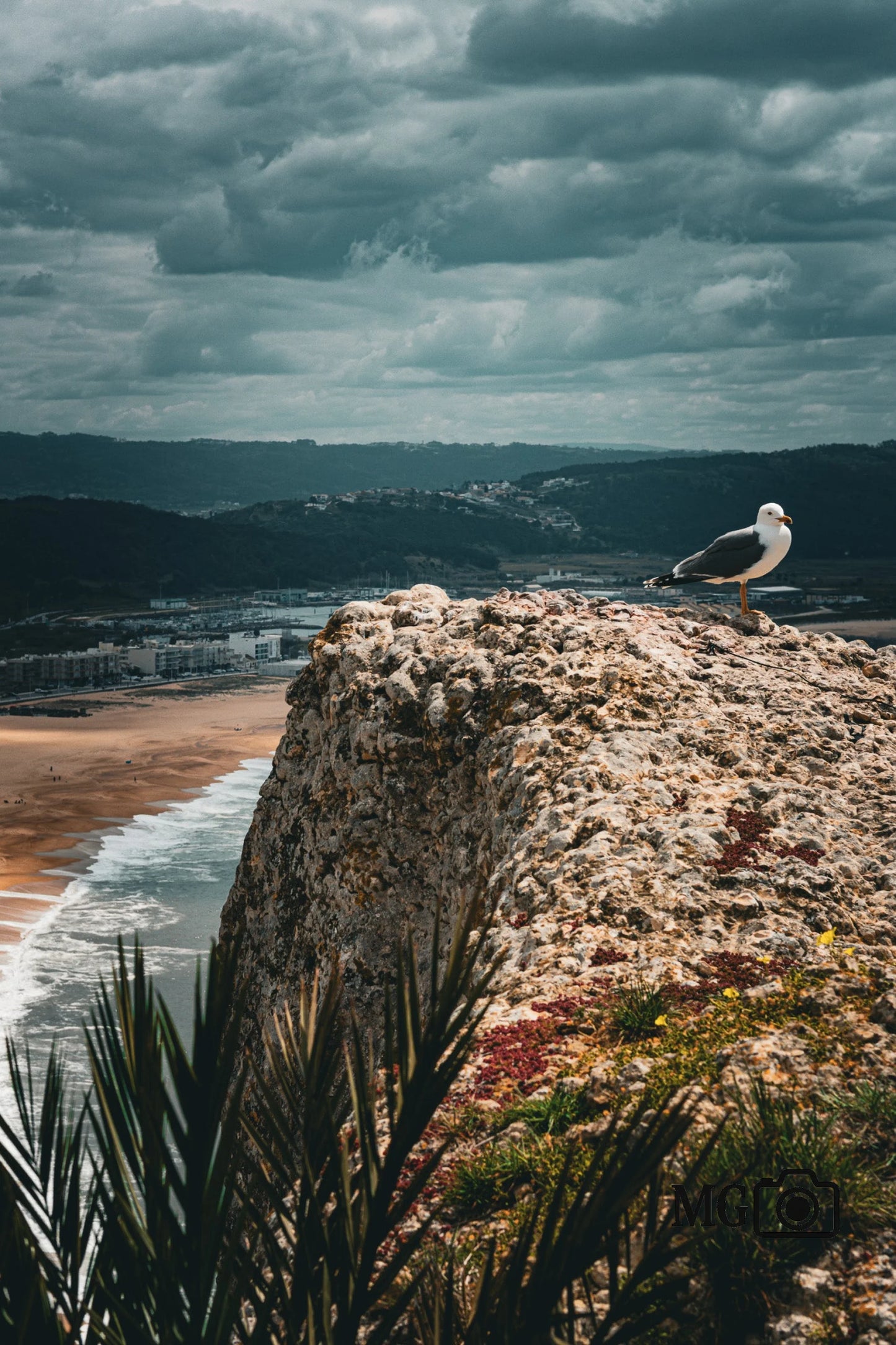 Möwe an der Klippe